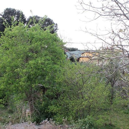 Appartamento Cal General La Cellera de Ter Esterno foto